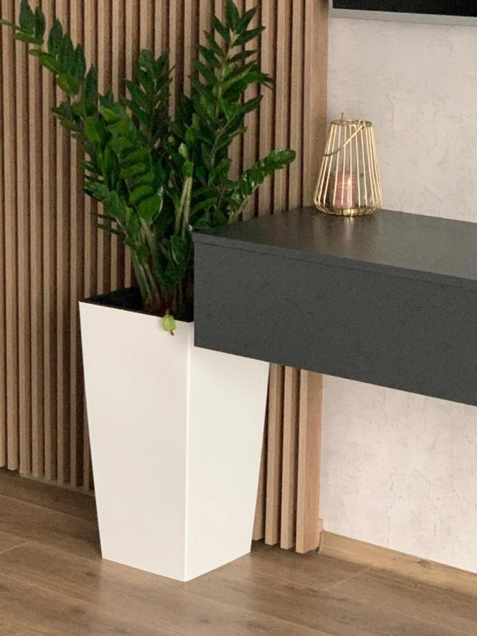 Apartament Anda *